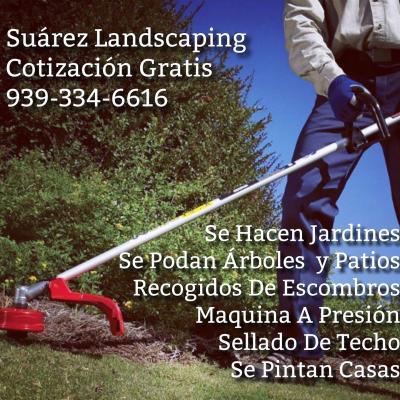 Suarez Landscaping 